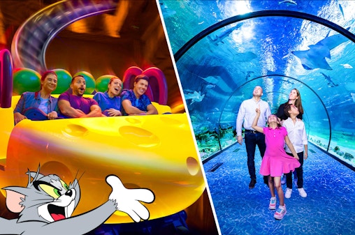 Combiticket: Warner Bros. World™ + Toegangskaarten National Aquarium Abu Dhabi