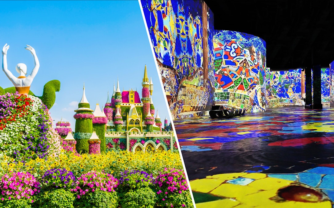 Infinity des Lumières digital art display and Dubai Miracle Garden floral castle.