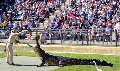 Australia Zoo