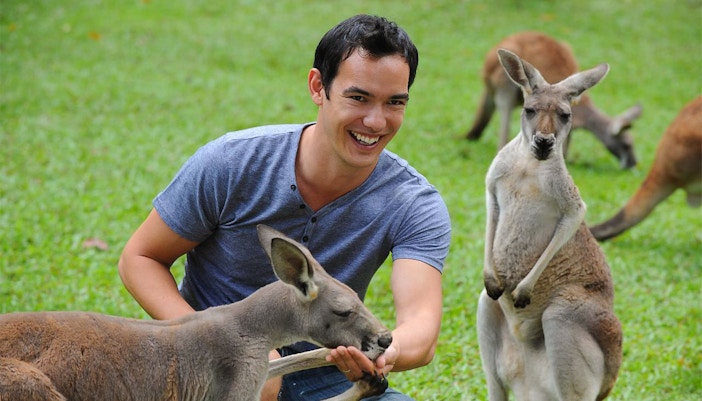 Hand feed Kangaroos at Australia Zoo