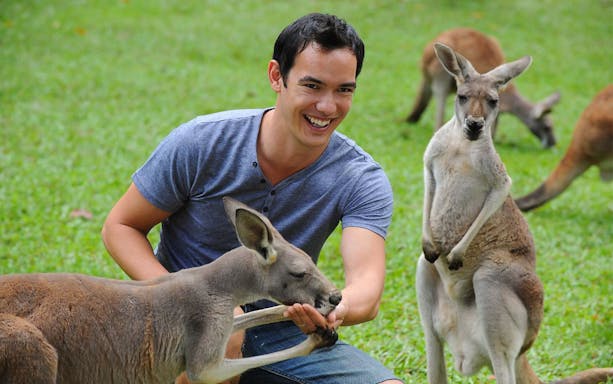 Hand feeding kangaroos at Australia Zoo.