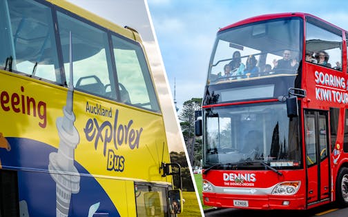 Combo: Auckland Explorer Bus + SEA LIFE Kelly Tarltons Tickets