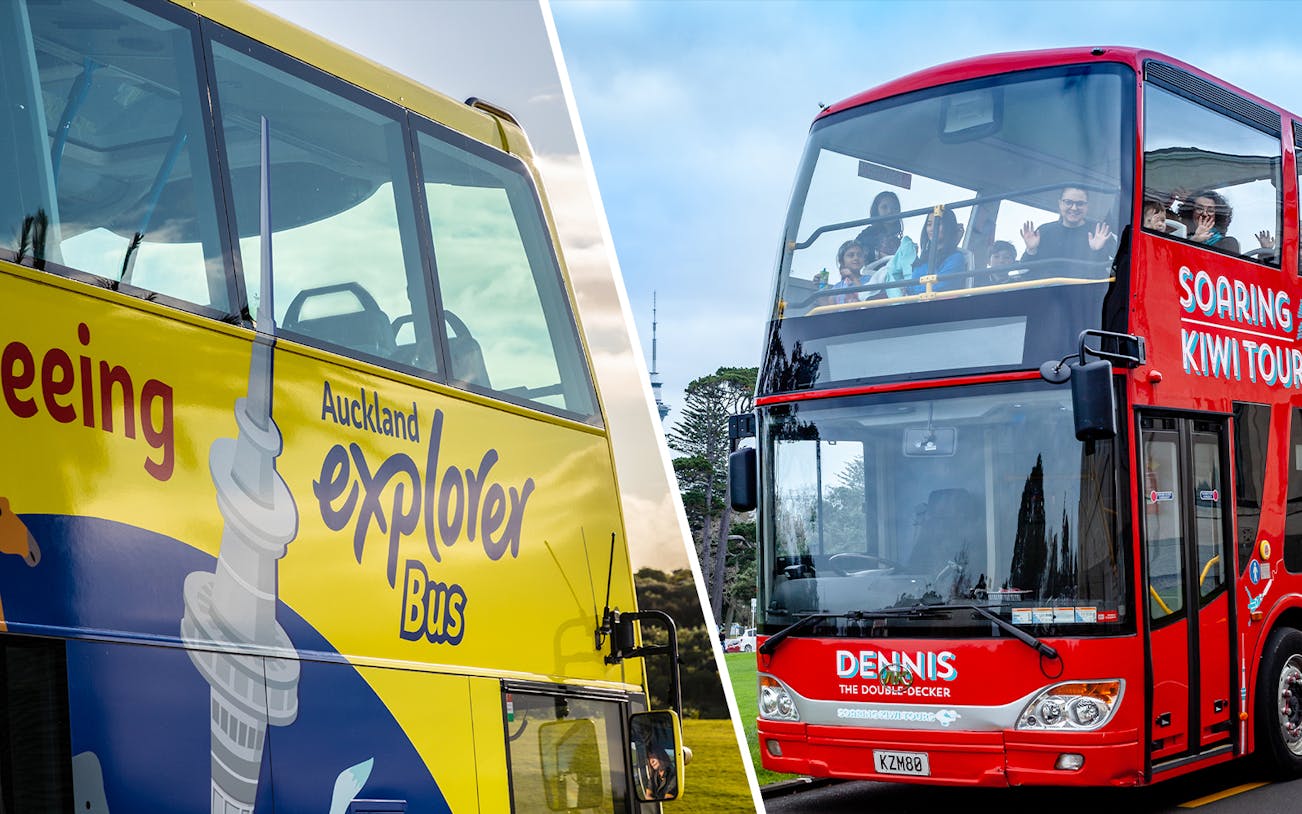 Auckland Explorer Bus and Soaring Kiwi Tours double-decker buses in Auckland.