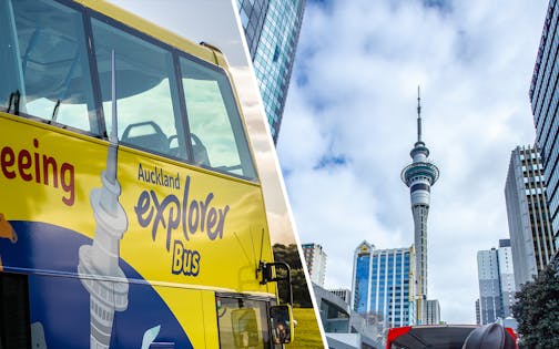 Combo: Auckland Explorer Bus + Weta Workshop Unleashed Tickets