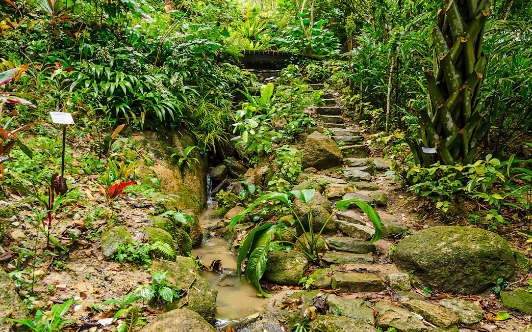 Stone path and lush greenery at Tropical Spice Garden, Penang.