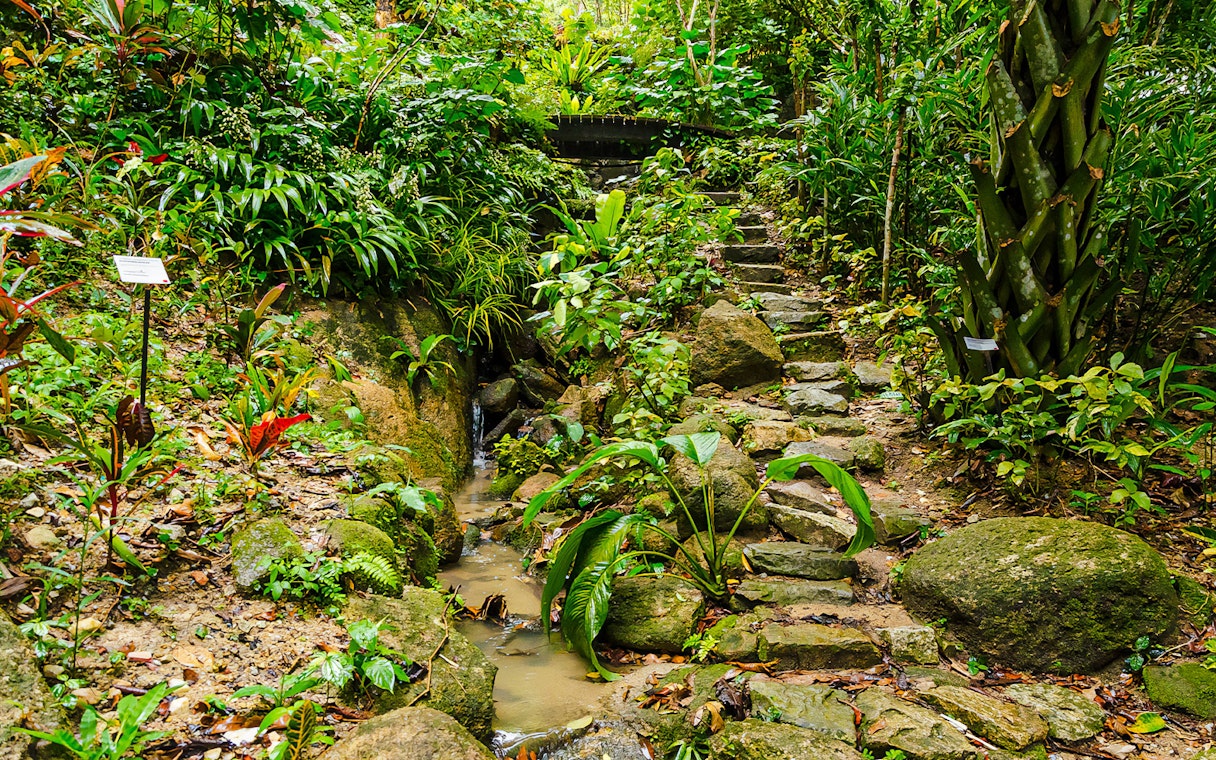 Stone path and lush greenery at Tropical Spice Garden, Penang.