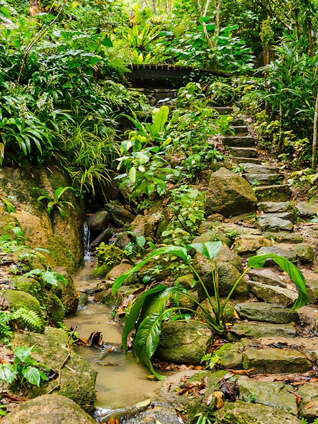 Stone path and lush greenery at Tropical Spice Garden, Penang.