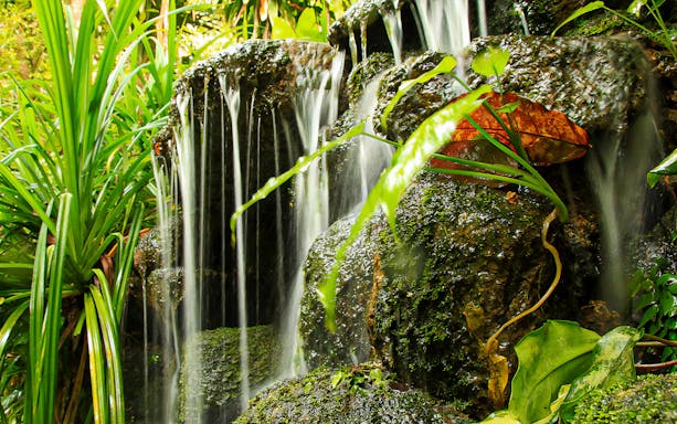 Waterfall surrounded by lush greenery at Tropical Spice Garden Penang.