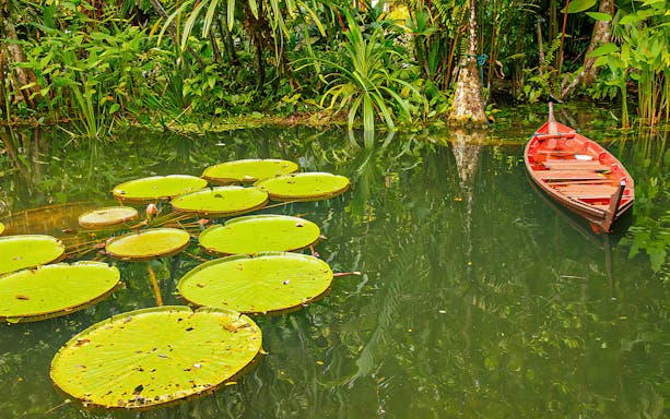 Lily pads and a wooden boat on a pond at Tropical Spice Garden, Penang.