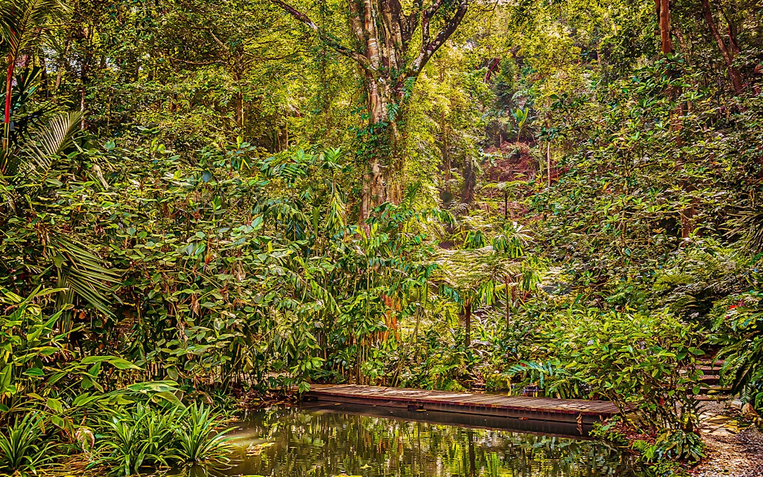 Tropical Spice Garden Penang with lush greenery and a wooden walkway over a pond.