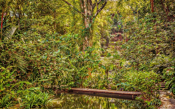Tickets to Tropical Spice Garden Penang