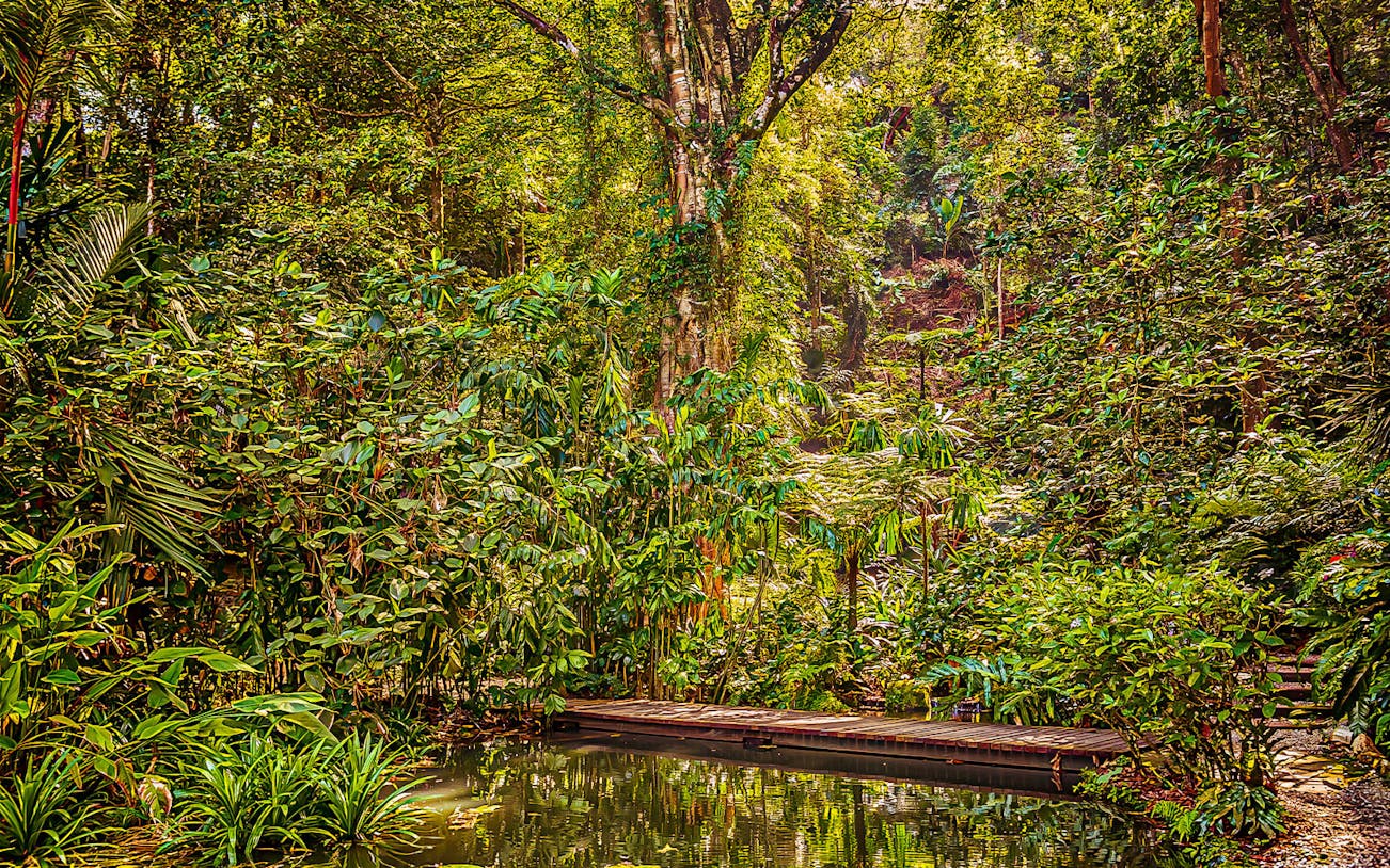 Tropical Spice Garden Penang with lush greenery and a wooden walkway over a pond.