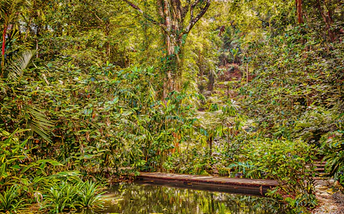 Tropical Spice Garden Penang with lush greenery and a wooden walkway over a pond.