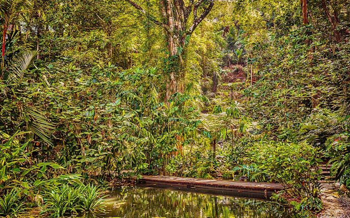 Tropical Spice Garden Penang with lush greenery and a wooden walkway over a pond.