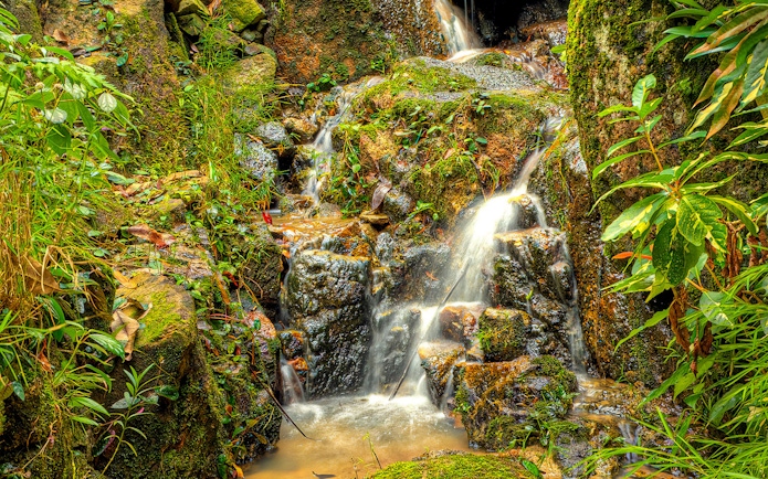 Waterfall surrounded by lush greenery at Tropical Spice Garden Penang.