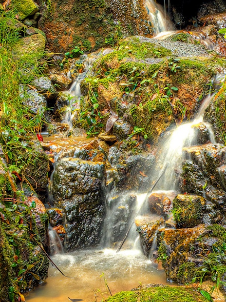 Waterfall surrounded by lush greenery at Tropical Spice Garden Penang.