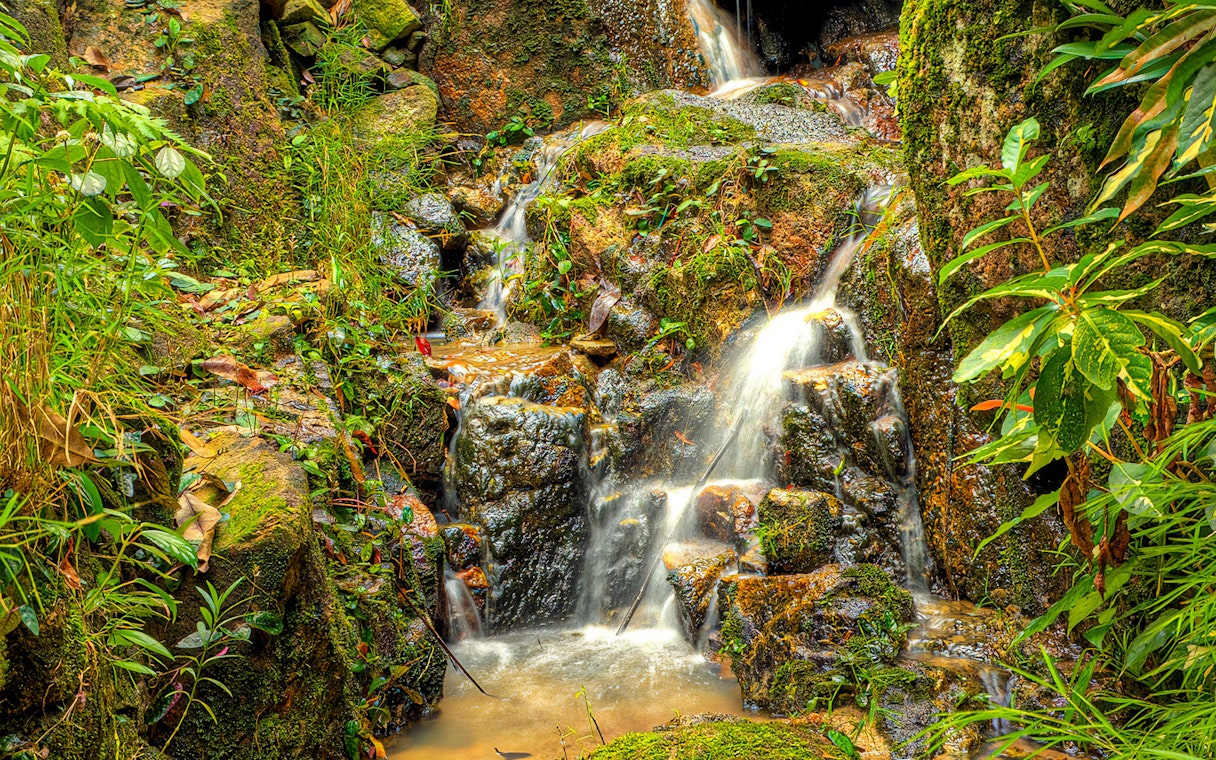 Waterfall surrounded by lush greenery at Tropical Spice Garden Penang.