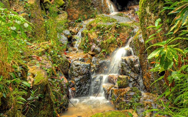 Waterfall surrounded by lush greenery at Tropical Spice Garden Penang.