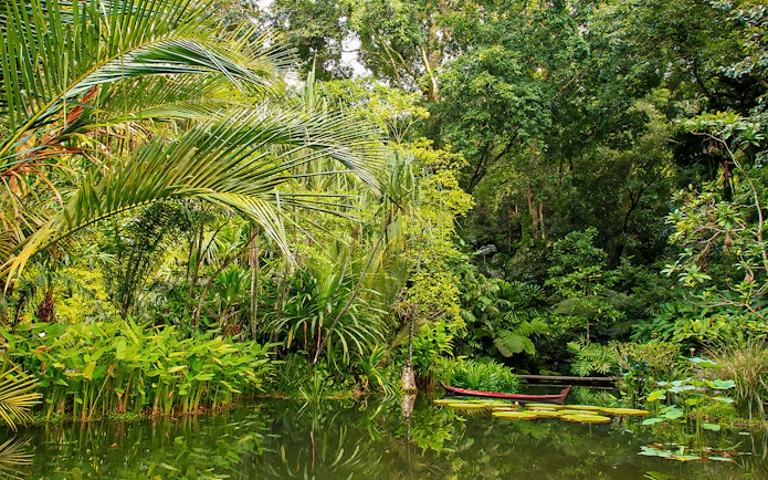 Lush tropical plants and pond at Tropical Spice Garden, Penang.