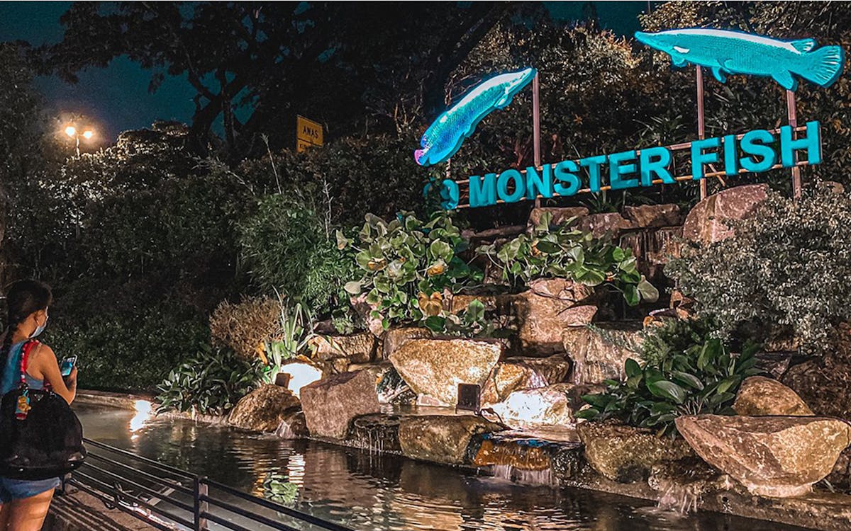 weekday entry tickets to 99 wonderland park-6 weekday entry tickets to 99 wonderland park-6
