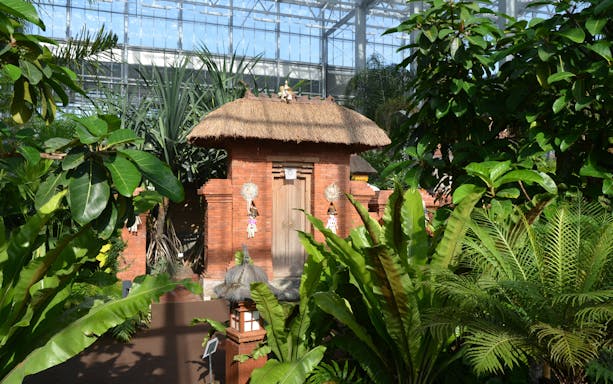Visitors exploring themed landscapes in Berlin's Gardens of the World during a guided tour.