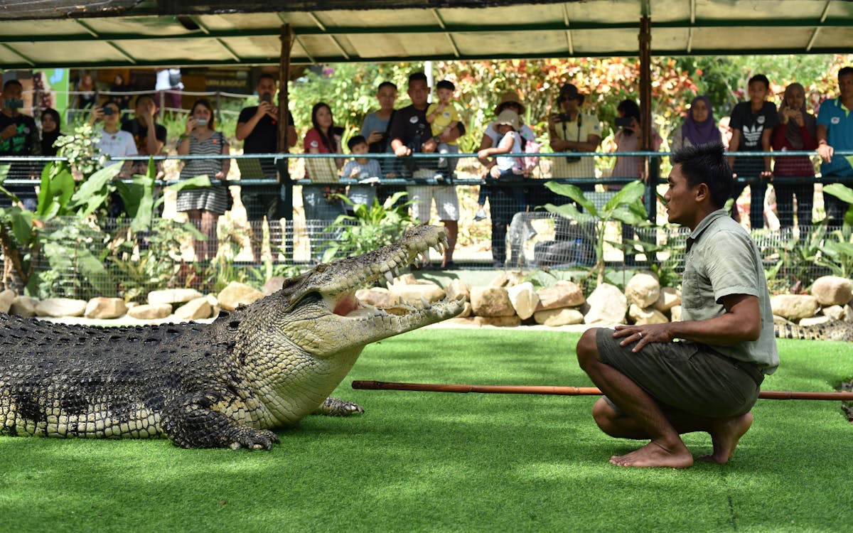 crocodile adventureland langkawi - snack bites combo-7 crocodile adventureland langkawi - snack bites combo-7