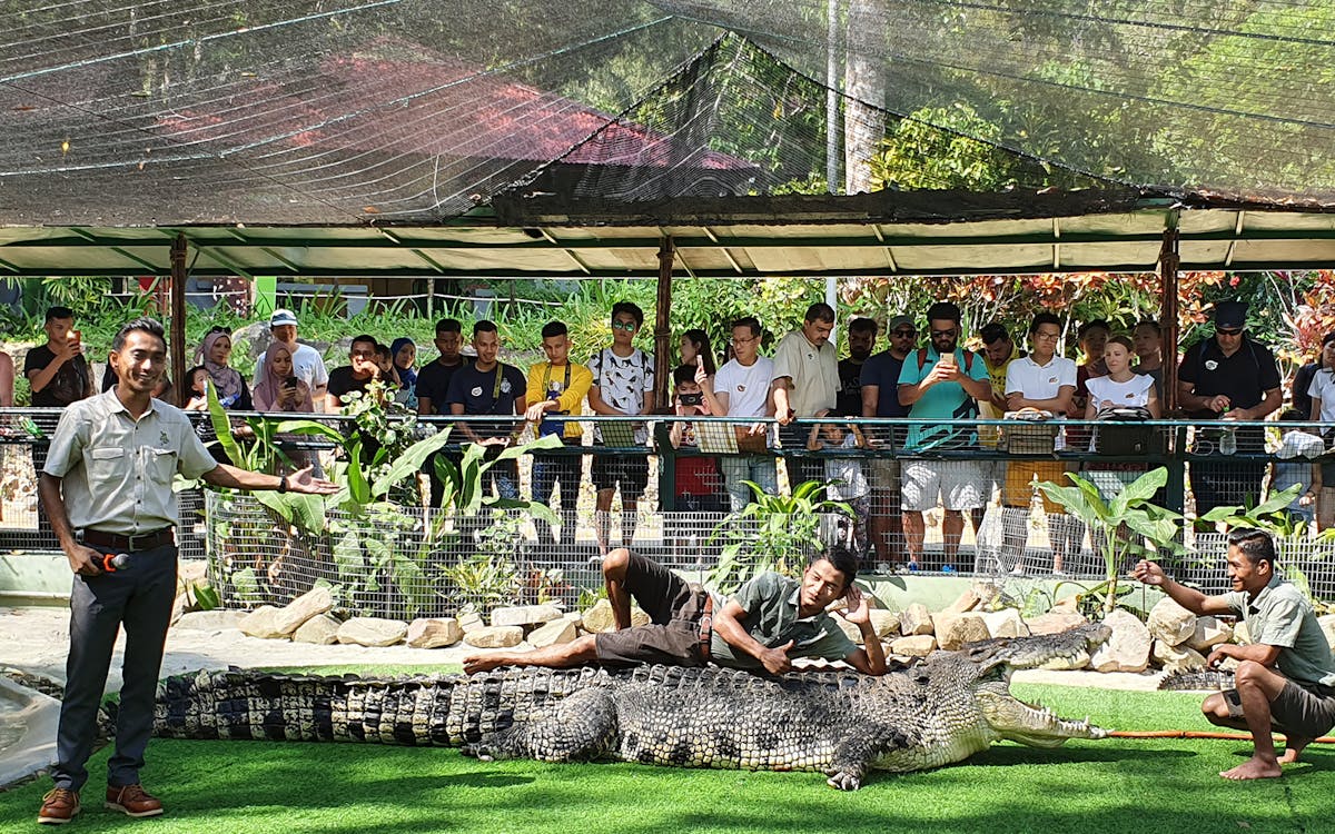 crocodile adventureland langkawi - snack bites combo-6 crocodile adventureland langkawi - snack bites combo-6