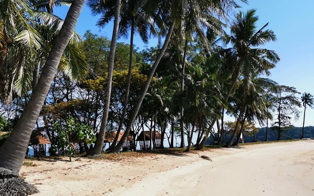 Tropical beach with palm trees on St John's Island, Singapore.