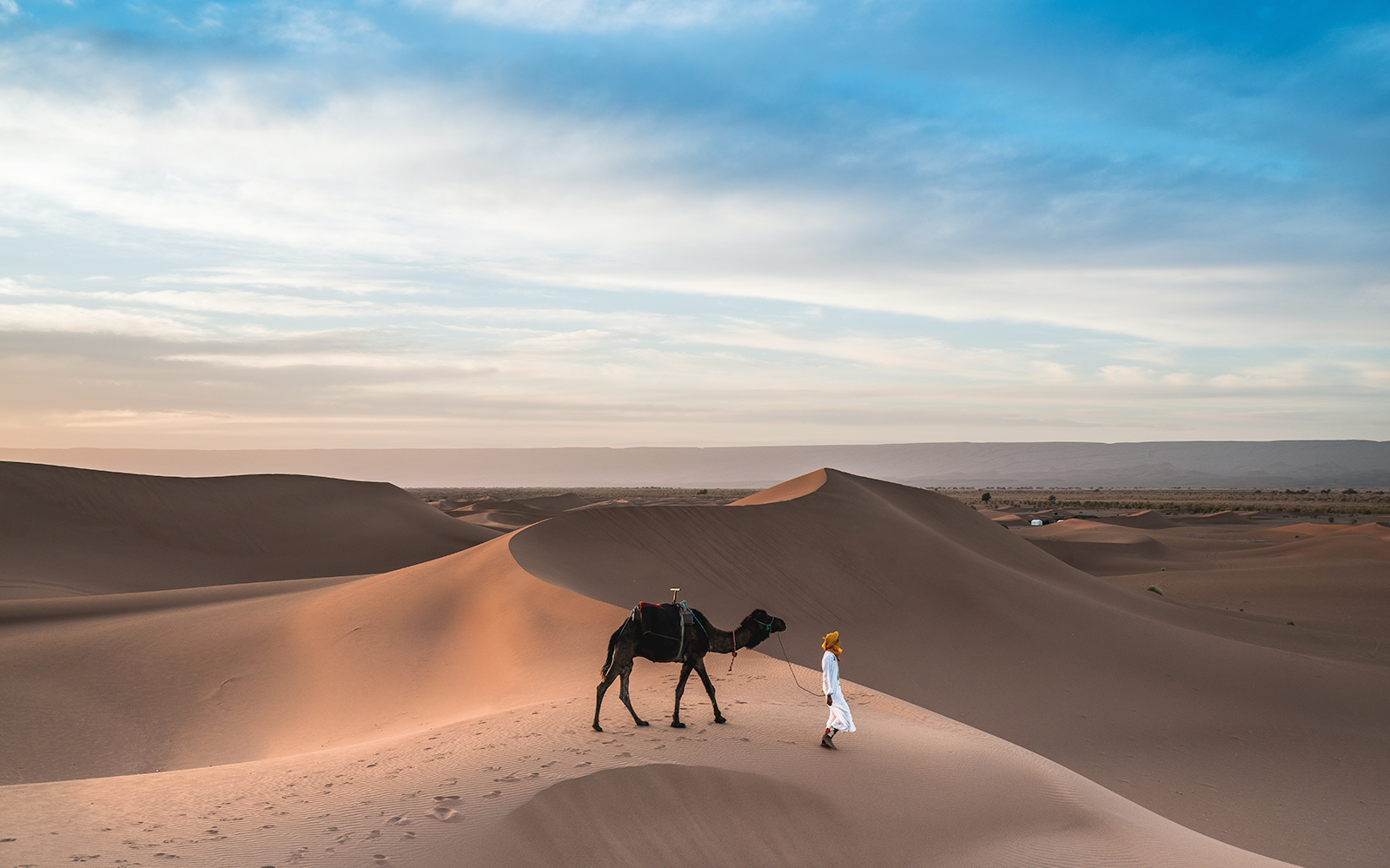 Liwa Desert Safari from Abu Dhabi with 4x4 vehicle on sand dunes under clear sky.