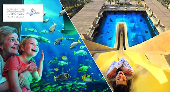 Lost Chambers + Aquaventure