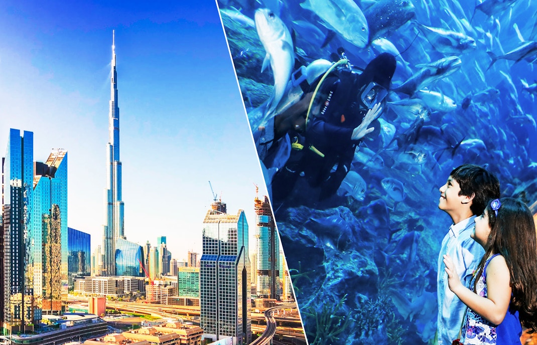 Aquário de Dubai Ingressos - Combo