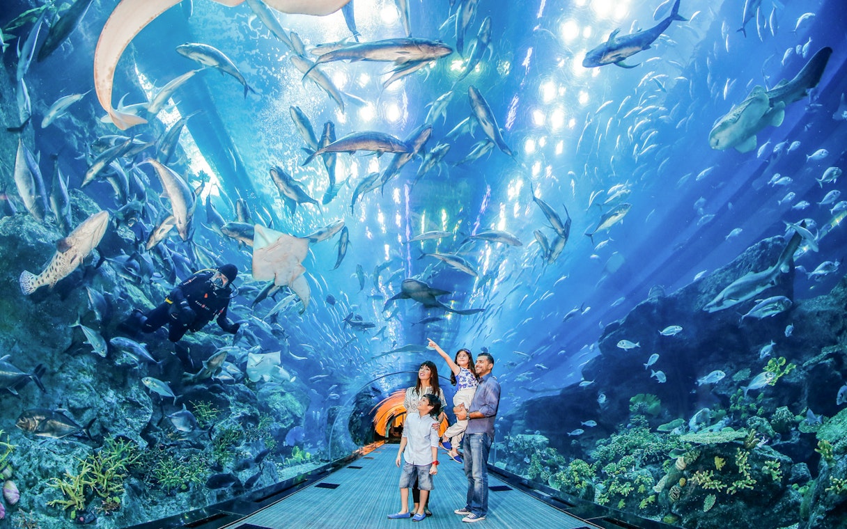 Family exploring underwater tunnel at Dubai Aquarium, surrounded by diverse marine life.