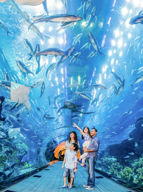 Family exploring underwater tunnel at Dubai Aquarium, surrounded by diverse marine life.