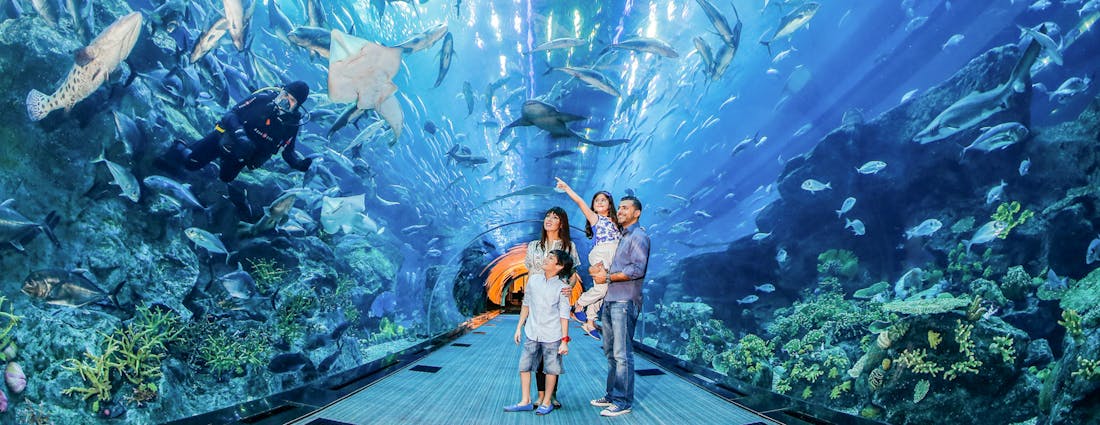 Dubai Aquarium and Underwater Zoo