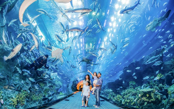 Family exploring underwater tunnel at Dubai Aquarium, surrounded by diverse marine life.