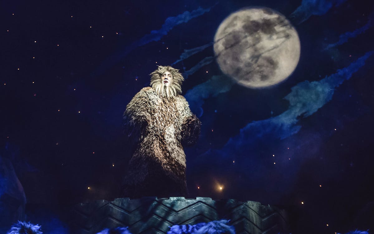 Why Cats Is The Best Musical Why Cats Is The Best Musical