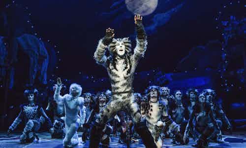 Cats 3