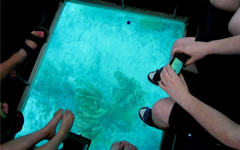 key west day trip with glass bottom boat ride-2 key west day trip with glass bottom boat ride-2