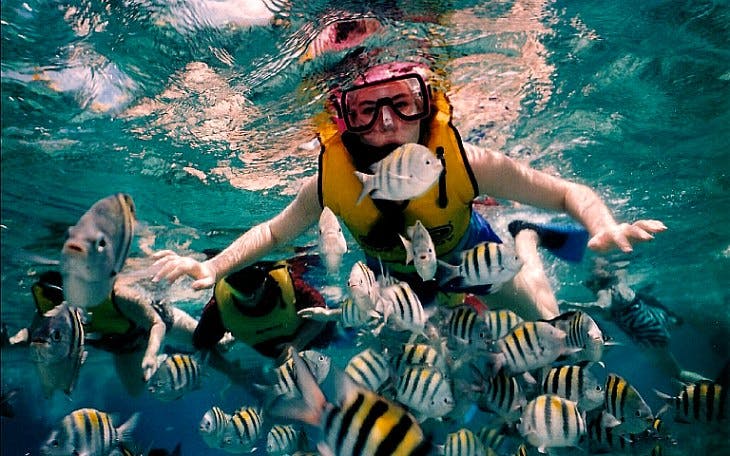 key west day trip & snorkeling adventure-1 key west day trip & snorkeling adventure-1