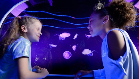 Visit During Off-Season Times - SEA Life London