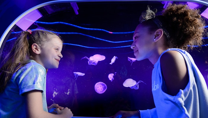 Visit During Off-Season Times - SEA Life London