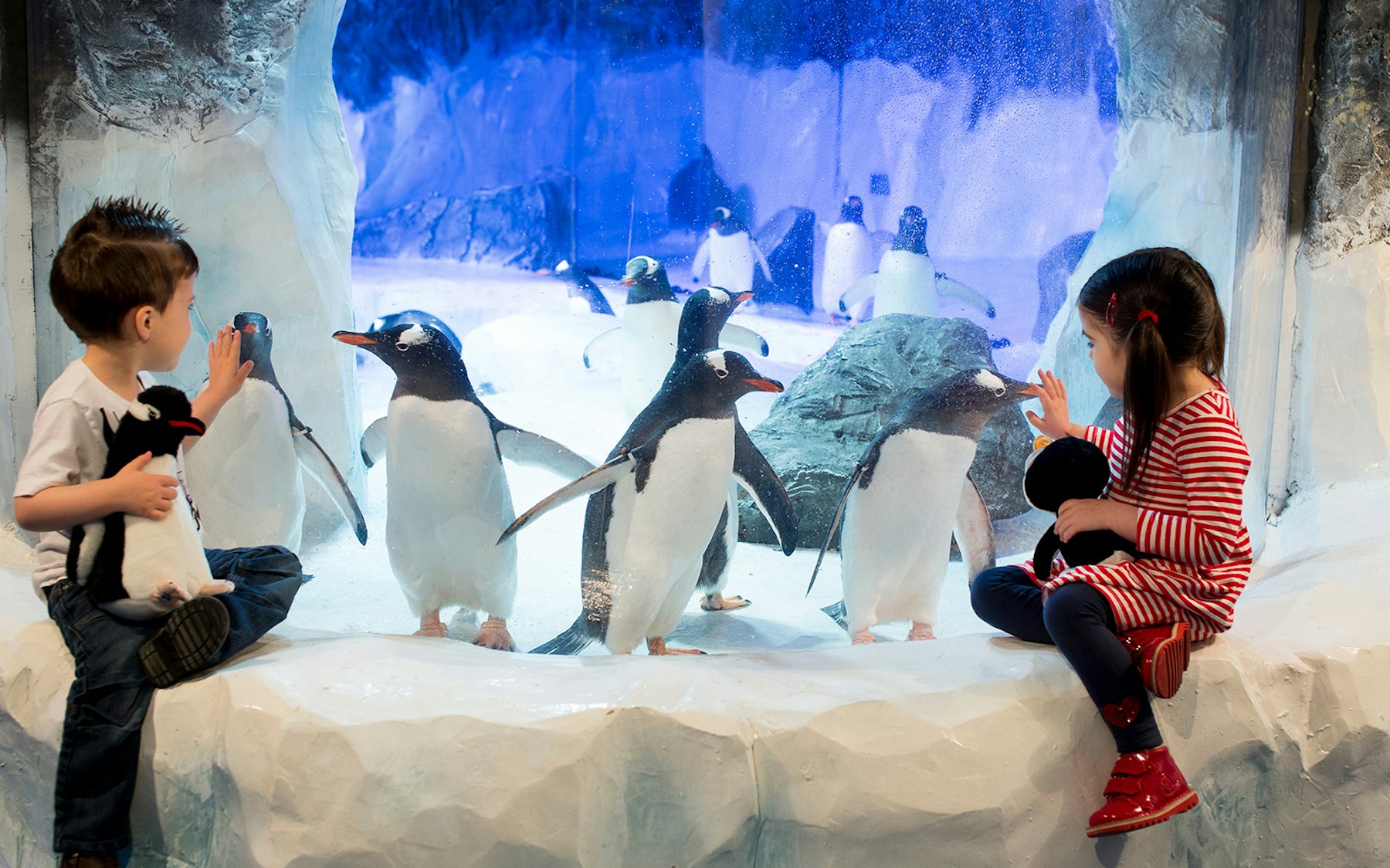 SEA LIFE London Priority Access Tickets, Deals & Offers
