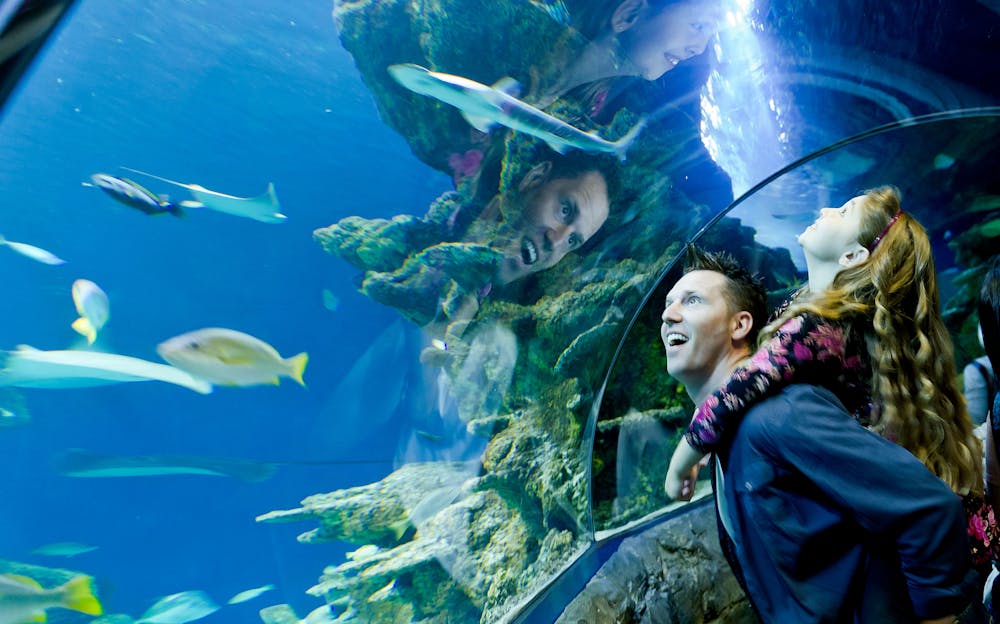 Priority Access: Sea Life London - Only £30 | Tickets.co.uk