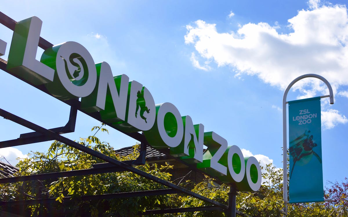ZSL London Zoo Admission Tickets Get Best Prices With Headout zsl-london-zoo-admission-tickets-get-best-prices-with-headout