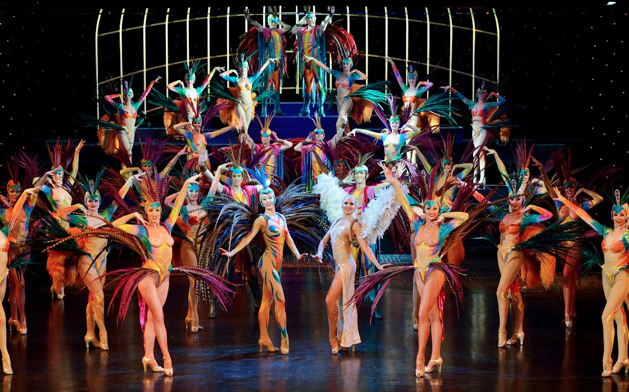 Performers in vibrant costumes on stage at The Lido Show, Paris.