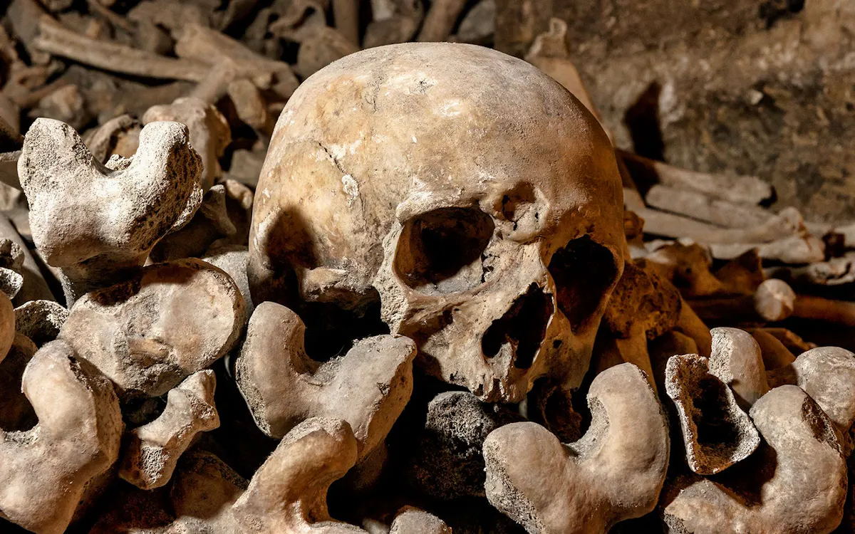 Are Paris Catacombs Tours Worth Your Time? Are Paris Catacombs Tours Worth Your Time?