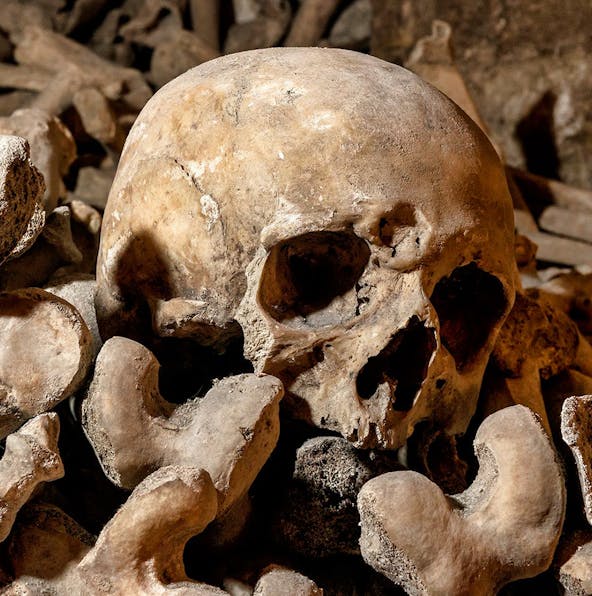 Catch the best Paris Catacombs guided tours