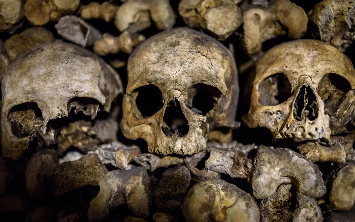skip the line paris catacombs tour with special access-4 skip the line paris catacombs tour with special access-4