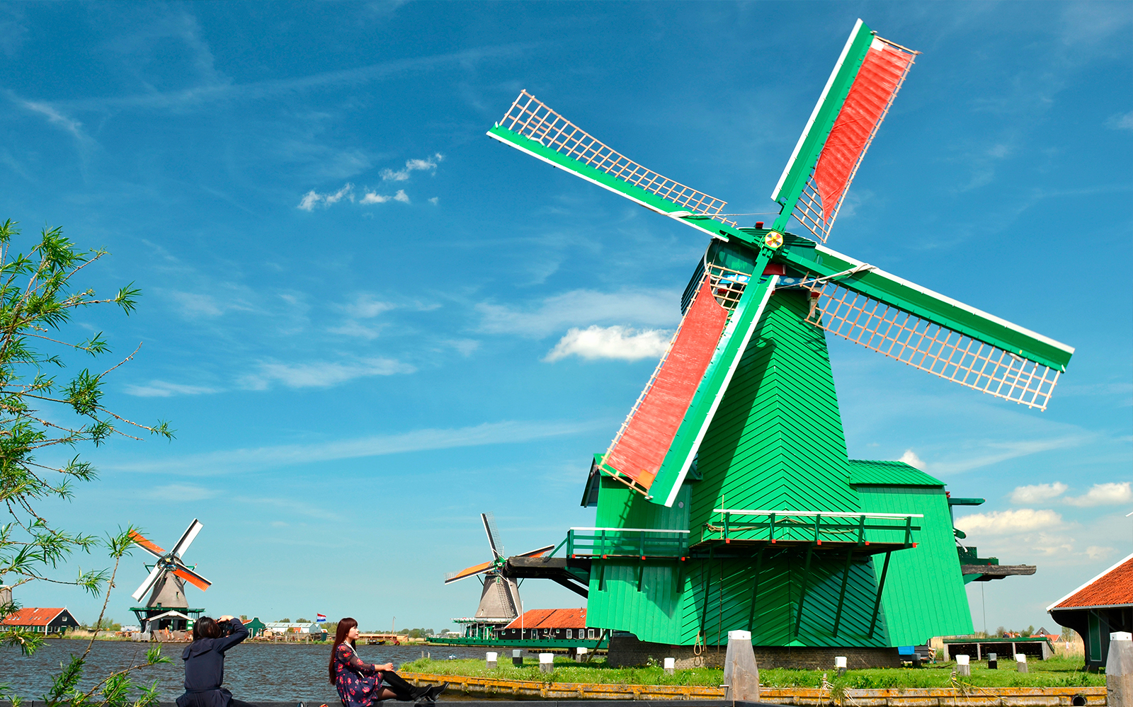 Windmills in a scenic landscape during the Volendam, Edam, and Windmills Tour.