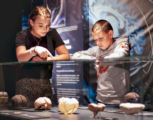 Body Worlds Amsterdam